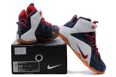 Cheap LeBrone James XII basketball shoes wholesale No. 585