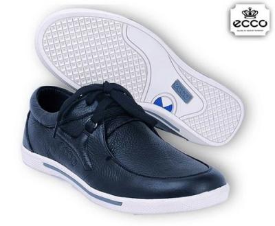 cheap ECCO-3